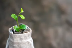 Small bag of coins with green sprout growing out of it